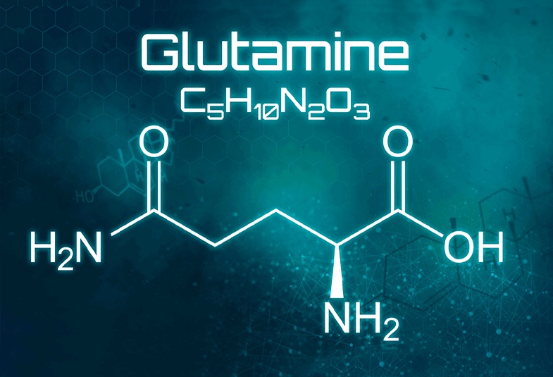 glutamina en la enfermedad de crohn