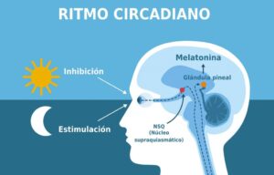 Melatonina y enfermedad de crohn