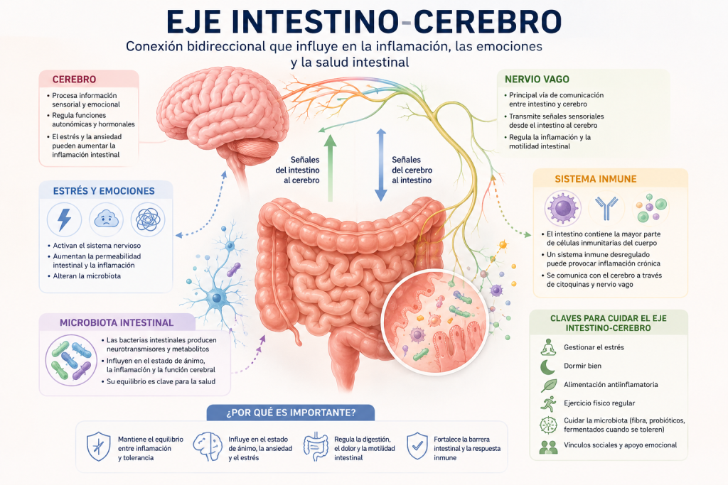 causas de la EII relacionadas con estrés emociones e intestino cerebro